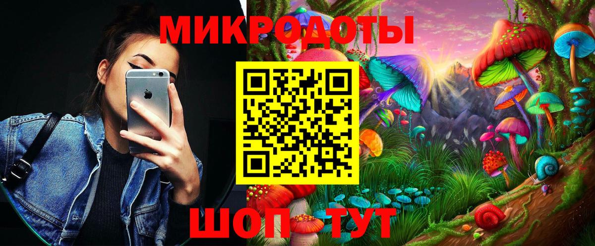 Псилоцибиновые грибы Psilocybe Мичуринск