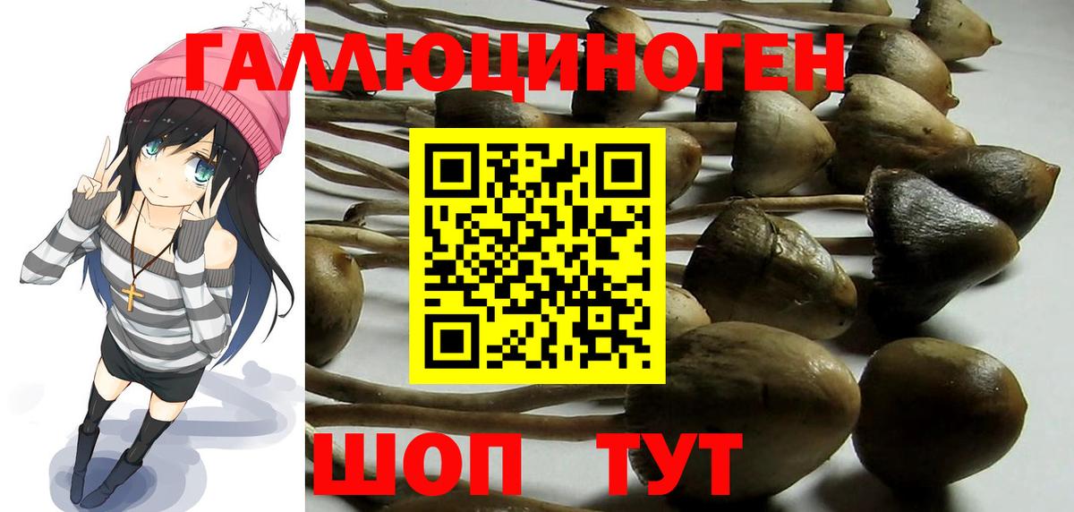 Мичуринск  Галлюциногенные грибы Magic Shrooms  Вход с VPN 